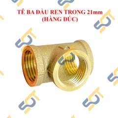 Tê Ren Trong, Tê Thau Ren Trong 21 27 34 - Đồng Đúc