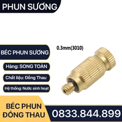 Béc Phun Sương, Đầu Phun Sương Đồng Thau Chân Ren M5 - Phun Sương Mịn số 1 2 3