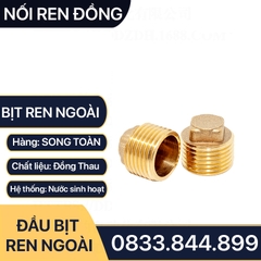 Nút Bịt / Đầu Bít Ren Ngoài Đồng Thau Ngăn Dòng Chảy - 9.6 13 17 21 27 34 42 49 60