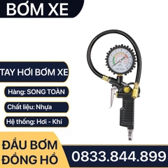 Tay Bơm Hơi Xe Có Đồng Hồ Đo Áp Suất 25D