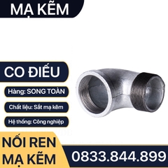 Co Điếu Ren Trong Ren Ngoài Sắt Mạ Kẽm - Giải Pháp Kết Nối Tin Cậy