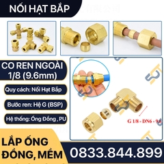 Co Ren Ngoài 1/8 (9.6), 1 Đầu Ren 1 Đầu Côn Lõm Hạt Bắp NPT Nối Ống Đồng, Ống PU