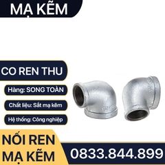 Co Thu Ren Mạ Kẽm, Co Thu Nối Ren Trong Sắt Mạ Kẽm