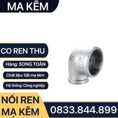 Co Thu Ren Mạ Kẽm, Co Thu Nối Ren Trong Sắt Mạ Kẽm