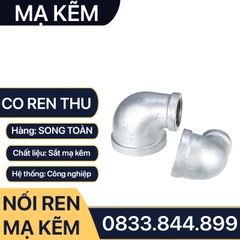 Co Thu Ren Mạ Kẽm, Co Thu Nối Ren Trong Sắt Mạ Kẽm