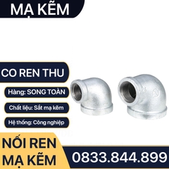 Co Thu Ren Mạ Kẽm, Co Thu Nối Ren Trong Sắt Mạ Kẽm