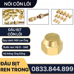 Đầu Bịt Ren Trong Côn Lồi Lã Ống Đồng, Bít Ren Ngoài Lã Ống Đồng NPT Phi 6 8 10 12 16mm (Brass Flare Fitting Cap NPT)