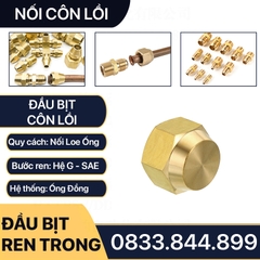 Đầu Bịt Ren Trong Côn Lồi Lã Ống Đồng Phi 6 8 10 12 16 / Brass Flare Fitting Cap NPT