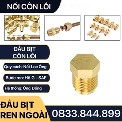 Đầu Bịt Ren Ngoài Côn Lồi Lã Ống Đồng Phi 6 8 10 12 16 / Brass Flare Fitting Cap NPT