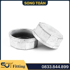 Đầu Bịt / Nút Bít Ren TrongSắt Mạ Kẽm - Ứng Dụng Trong Công Nghiệp