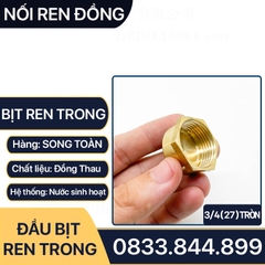 Nút Bịt / Đầu Bít Ren Trong Đồng Thau Đúc Dập Nóng - 21 27