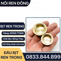 Nút Bịt / Đầu Bít Ren Trong Đồng Thau Đúc Dập Nóng - 21 27