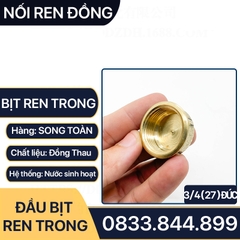 Nút Bịt / Đầu Bít Ren Trong Đồng Thau Đúc Dập Nóng - 21 27