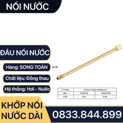 Lơ Nối Nước Đồng, Nối Ren Trong Ren Ngoài Đồng Thau 1/8 (9.6), 1/4 (13)