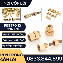 Thân Nối Thẳng Ren Trong Côn Lồi Lắp Lã Ống Đồng NPT Phi 6 8 10 12 16 19mm (Brass Flare Fitting Female Connector NPT)