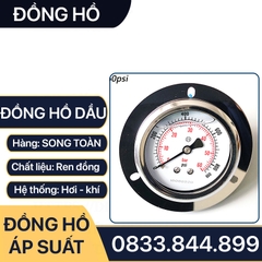 Đồng Hồ Dầu Áp Suất Mặt 100mm Chân Sau Ren 3/8 (17)