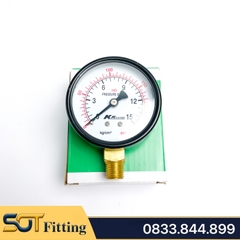 Đồng Hồ Áp Suất Ren PT 3/8 (17) - Mặt Khô Đường Kính 100 mm Chân Đứng
