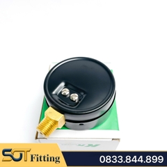 Đồng Hồ Áp Suất Ren PT 1/4 (13) Mặt Khô - Đường Kính 63 mm Chân Đứng