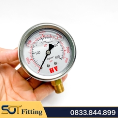 Đồng Hồ Dầu Ren PT 1/4 (13) - Đo Áp Suất Đường Kính Mặt 63mm Chân Đứng