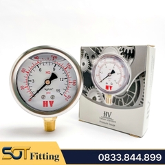Đồng Hồ Dầu Ren PT 3/8 (17) - Đo Áp Suất Đường Kính Mặt 100mm Chân Đứng