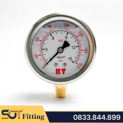 Đồng Hồ Dầu Ren PT 3/8 (17) - Đo Áp Suất Đường Kính Mặt 100mm Chân Đứng
