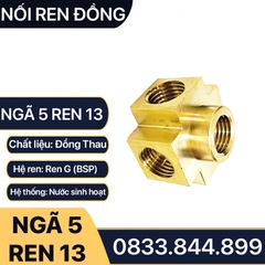 Ngã 5 Ren Trong Đồng, Đầu Nối Ren Trong 5 Ngã - Đồng Thau