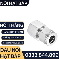 Nối Ren Trong Hạt Bắp Inox 304, Đầu Nối Ren Trong Côn Lõm Hạt Bắp Inox 304