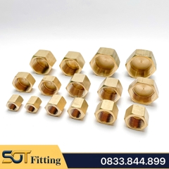 Nút Bịt / Đầu Bít Ren Trong Đồng Thau Ngăn Dòng Chảy - 9.6 13 17 21 27 34 42 49 60
