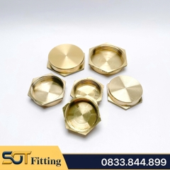 Nút Bịt / Đầu Bít Ren Trong Đồng Thau Ngăn Dòng Chảy - 9.6 13 17 21 27 34 42 49 60
