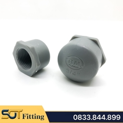 Nút Bít Ren Trong 21 27 34 / Đầu Bịt Nhựa PVC - Thương Hiệu Bình Minh
