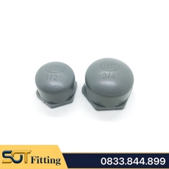 Nút Bít Ren Trong 21 27 34 / Đầu Bịt Nhựa PVC - Thương Hiệu Bình Minh