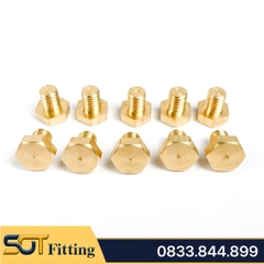 Ốc Bulong Ren Ngoài M5 Đầu Lục Giác - Đồng Thau C3604