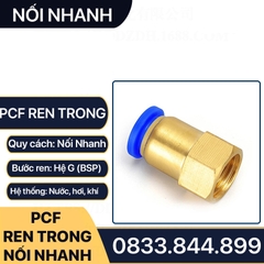 PCF Ren Trong Nối Nhanh, Đầu Nối Nhanh Ren Trong Cắm Ống PU