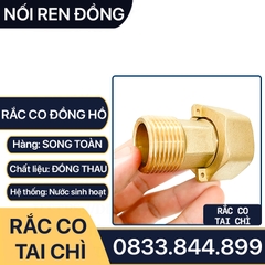 Rắc Co Ren Lục Giác Có Lỗ Kẹp Chì Dùng Cho Đồng Hồ Đo Cấp Nước