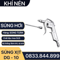 Súng Xịt Hơi ĐL DG 10 Cầm Tay, Đầu Phun Xịt Hơi Cầm Tay Inox