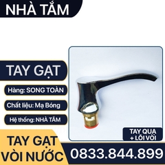 Tay Gạt Vòi Nước, Bộ Tay Vặn Vòi Nước Rời Thay Thế Tay Gạt Đã Cũ - Hư Hỏng