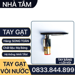 Tay Gạt Vòi Nước, Bộ Tay Vặn Vòi Nước Rời Thay Thế Tay Gạt Đã Cũ - Hư Hỏng