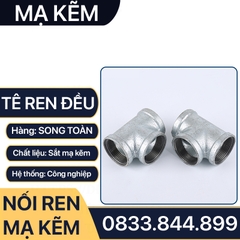 Tê Ren Trong Mạ Kẽm, Tê Ba Đầu Ren Trong Sắt Mạ Kẽm