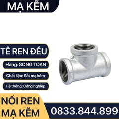 Tê Ren Trong Mạ Kẽm, Tê Ba Đầu Ren Trong Sắt Mạ Kẽm