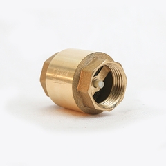 Van 1 Chiều Lò Xo Ren Đồng CP PN10 / Copper Threaded One - Way Valve