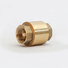 Van 1 Chiều Lò Xo Ren Đồng CP PN10 / Copper Threaded One - Way Valve