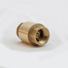 Van 1 Chiều Lò Xo Ren Đồng DISMY PN16 / Copper Threaded One - Way Valve