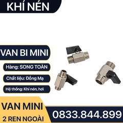 Van Hơi Mini Hai Ren Ngoài, Van Khí Nén Áp Lực Cao Hai Ren Ngoài 9.6 13 17 21 - Đồng Thau