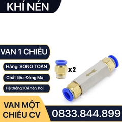 Van Một Chiều Khí Nén, Van Một Chiều Hơi CV Ren Trong 9.6 13 17 21mm - Đồng Mạ