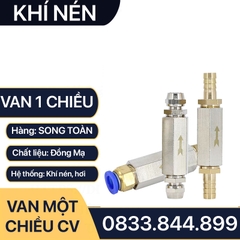 Van Một Chiều Khí Nén, Van Một Chiều Hơi CV Ren Trong 9.6 13 17 21mm - Đồng Mạ