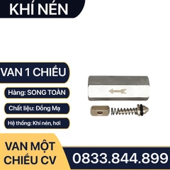 Van Một Chiều Khí Nén, Van Một Chiều Hơi CV Ren Trong 9.6 13 17 21mm - Đồng Mạ