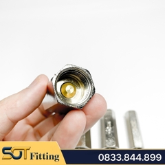 Van Một Chiều Khí Nén, Van Một Chiều Hơi CV Ren Trong 9.6 13 17 21- Đồng Mạ