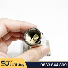 Van Một Chiều Khí Nén, Van Một Chiều Hơi CV Ren Trong 9.6 13 17 21- Đồng Mạ