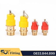 Van Xả Khí & Van An Toàn Đồng Thau Ren 9.6, 13, 17, 21 Súp Bắp Nắp Nhựa