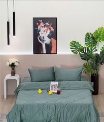 Mền/Chăn chần lụa Tencel Solid ByGu - 200x220cm